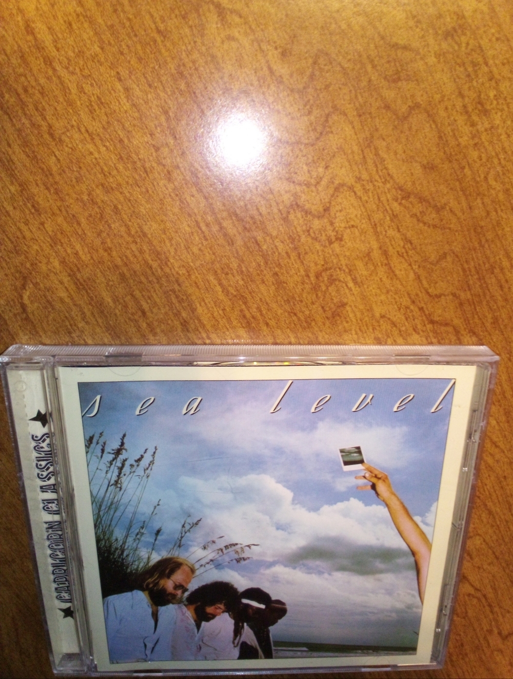 Sea Level Self Titled 1998 Capricorn Classics Remaster CD Reissue Of 1977 Debut